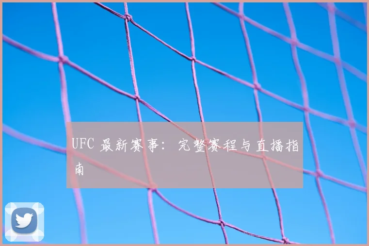 UFC 最新赛事：完整赛程与直播指南