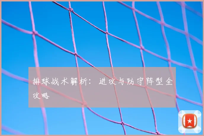 排球战术解析：进攻与防守阵型全攻略