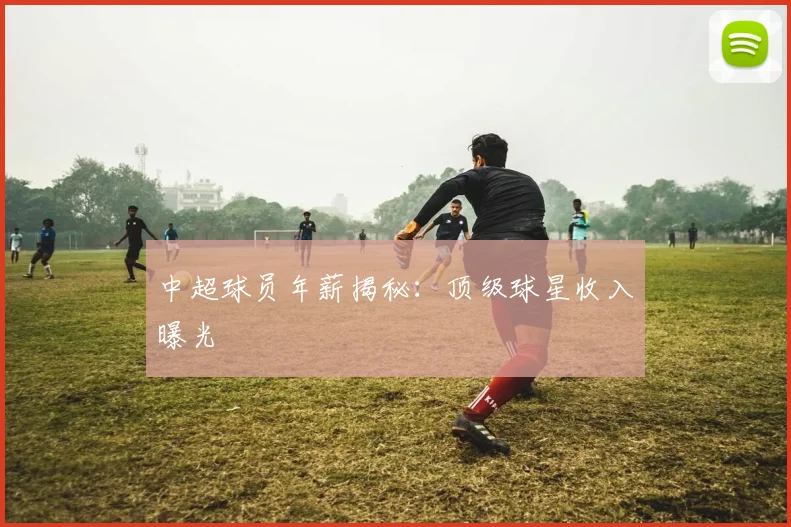 中超球员年薪揭秘：顶级球星收入曝光