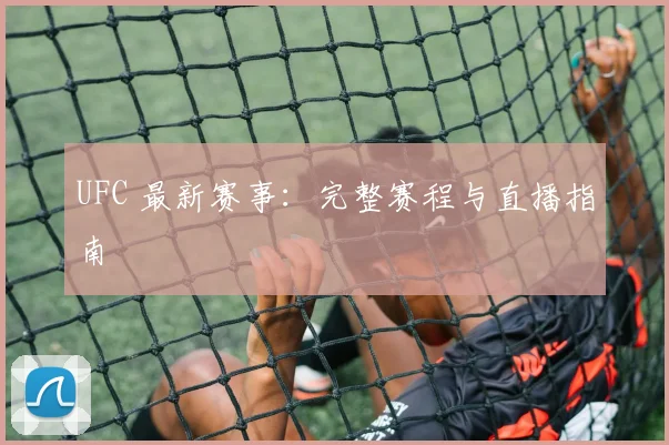 UFC 最新赛事：完整赛程与直播指南