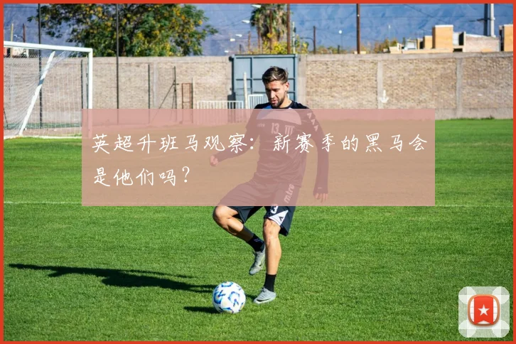 英超升班马观察：新赛季的黑马会是他们吗？