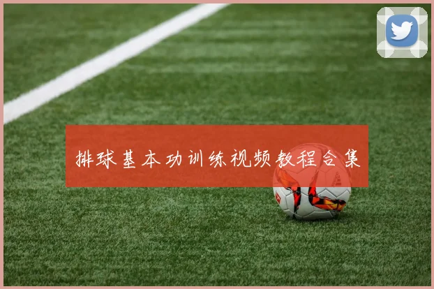 排球基本功训练视频教程合集