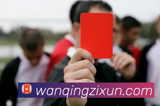 企业概况